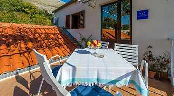 Guest House Fontana