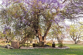 Last Word Madikwe
