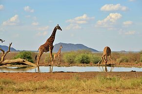 Last Word Madikwe