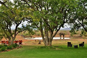 Last Word Madikwe