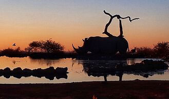 Last Word Madikwe