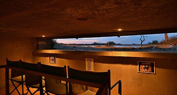 Last Word Madikwe