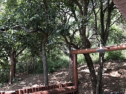 Amafu Forest Lodge