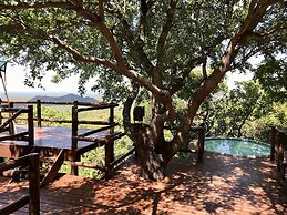 Amafu Forest Lodge