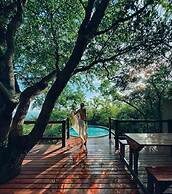 Amafu Forest Lodge