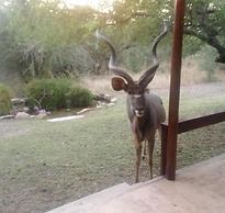 Turaco Lodge