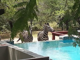 Turaco Lodge