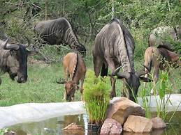 Turaco Lodge