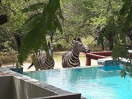 Turaco Lodge