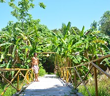 Forra Diving Resort - Pattaya Beach - Koh Lipe