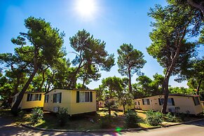 Arena Indije Mobile Homes
