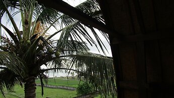 Dikaloha Medewi Surfcamp