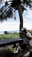 Dikaloha Medewi Surfcamp