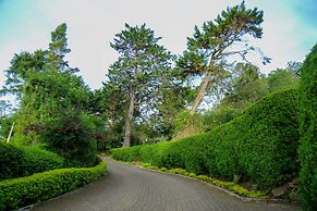 Brockenhurst Bungalow
