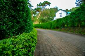 Brockenhurst Bungalow