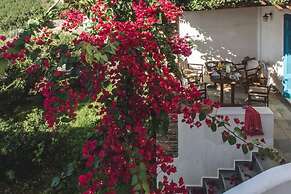 Andros Maisonettes