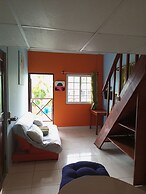 Surfari Bocas