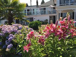 Buena Vista by the Sea