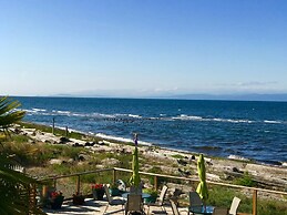 Buena Vista by the Sea