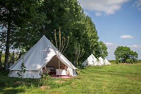 The Holford Arms - Campground