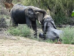 Masodini Private Game Lodge