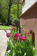 Wald Villa Üssbach
