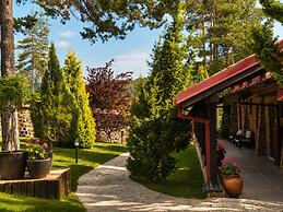 Aurora Resort & SPA