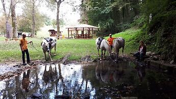 Ranch Terra