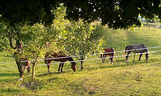 Ranch Terra