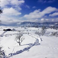 Ranch Terra