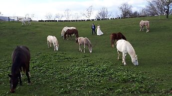 Ranch Terra