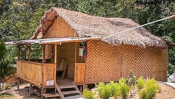 Rain Forest Inn