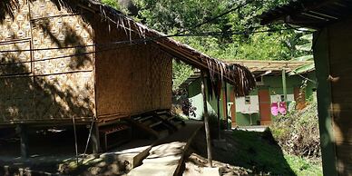 Rain Forest Inn