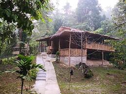 Rain Forest Inn