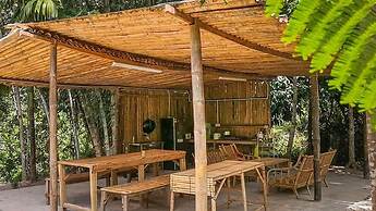 Rain Forest Inn