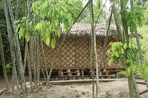Rain Forest Inn