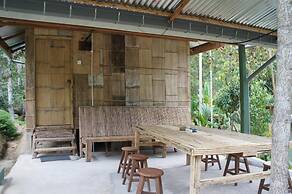Rain Forest Inn