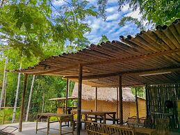 Rain Forest Inn