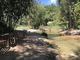 Rain Forest Inn