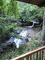 Rain Forest Inn