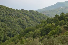 Benvenuti Nel Sud