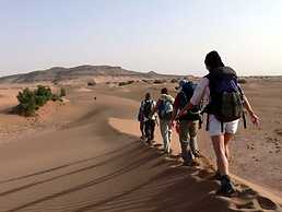 Palmeras y Dunas