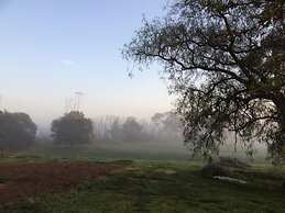 Abington Farm