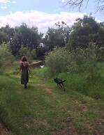 Abington Farm