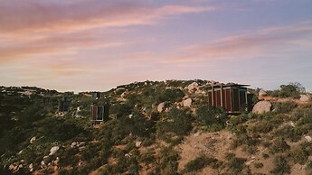 Encuentro Guadalupe