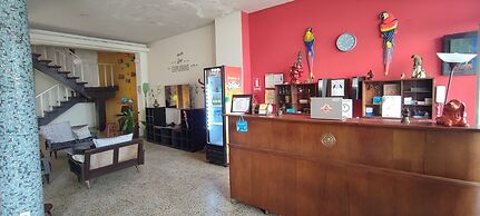Flying Dog Hostels Iquitos
