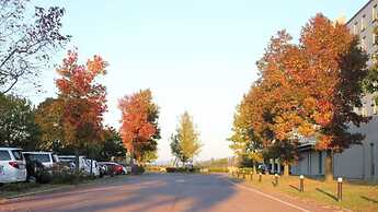 Hotel Arrowle