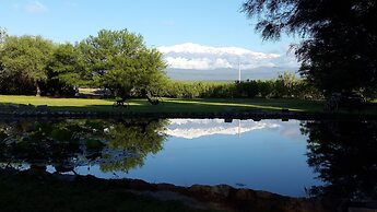 Posada del Olivo