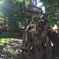 Omunity Bali