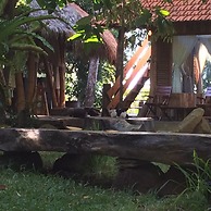 Omunity Bali